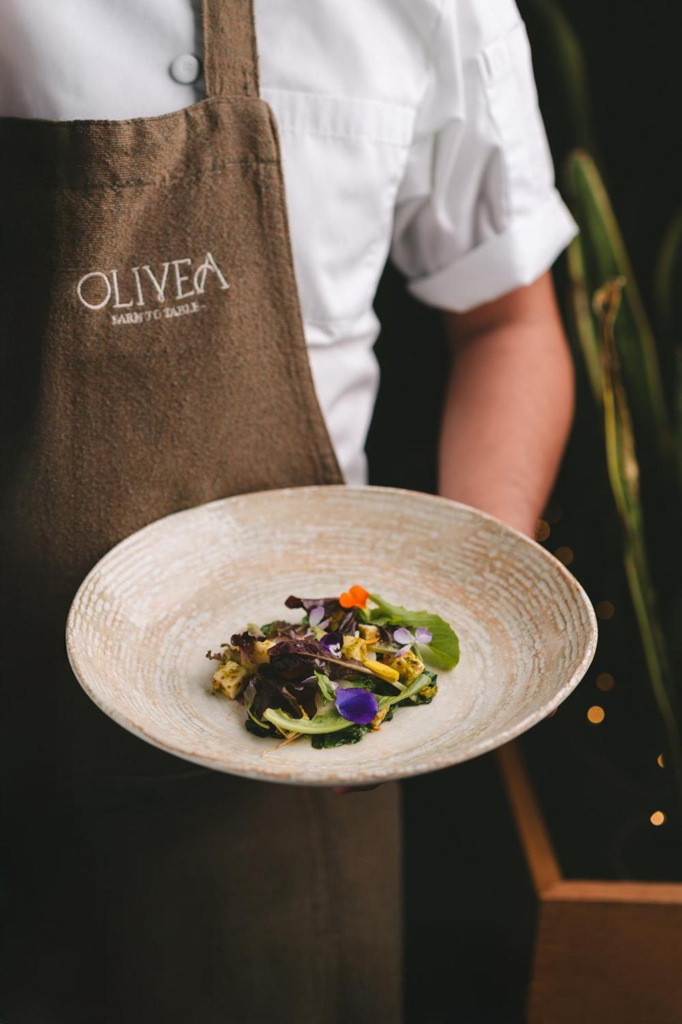 Casa Olivea Hotel Valle de Guadalupe
