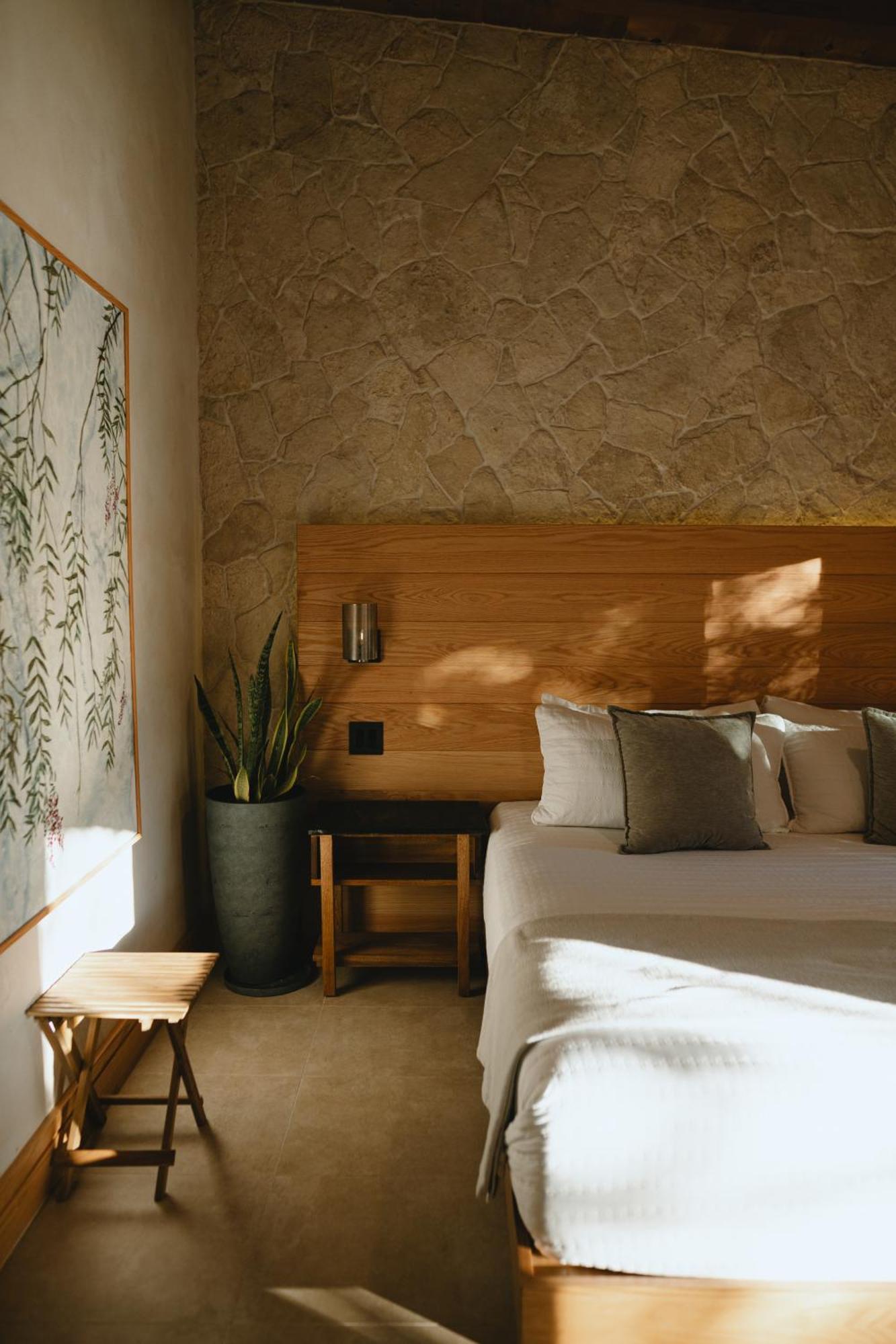 Hotel Casa Olivea Valle de Guadalupe
