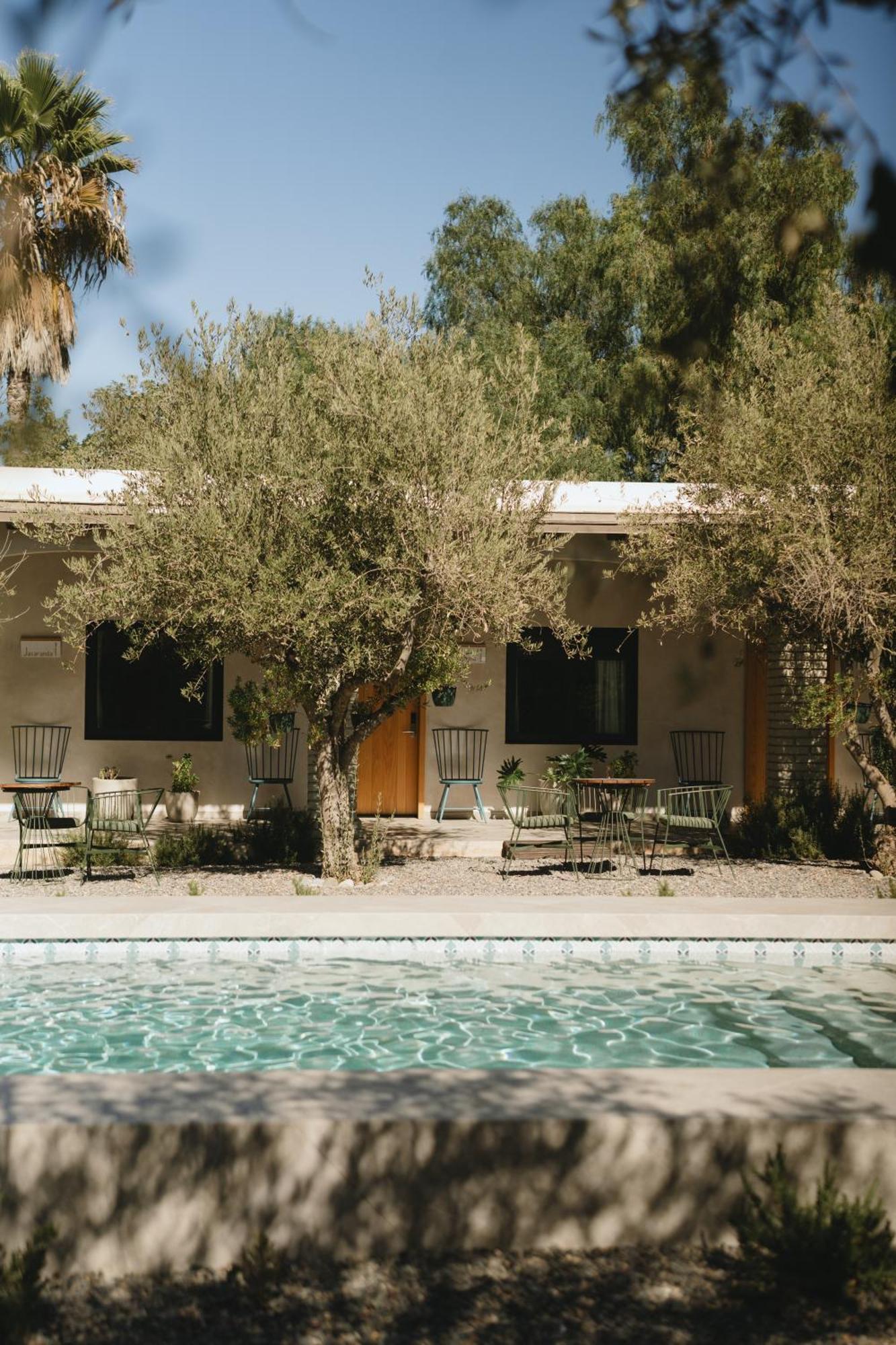 Casa Olivea Valle de Guadalupe