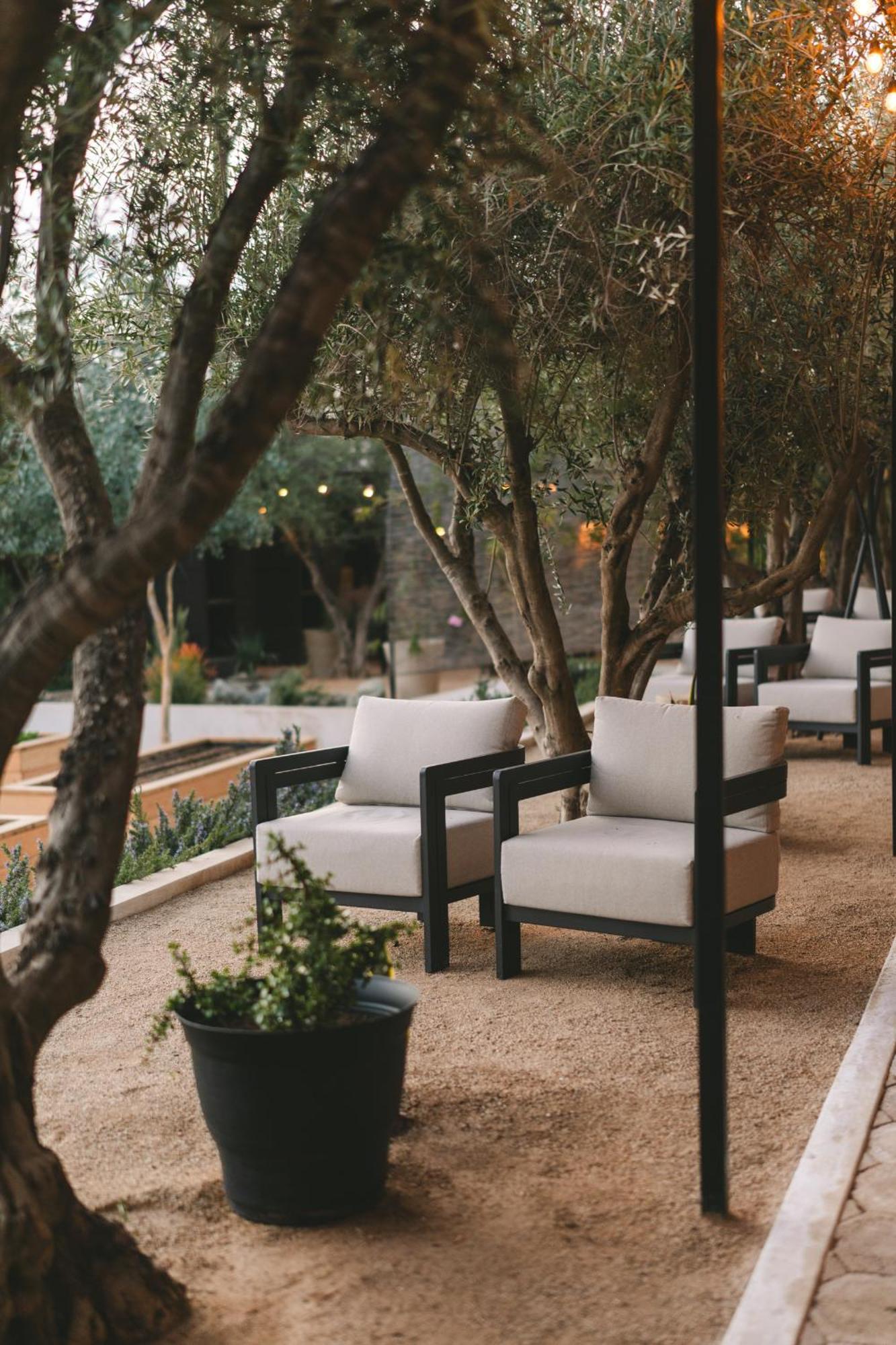 Casa Olivea * Valle de Guadalupe